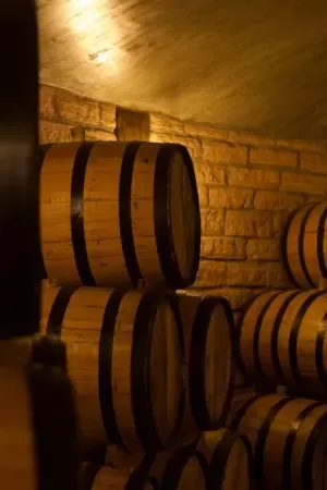 Posadzka W Piwnicy Nieogrzewanej